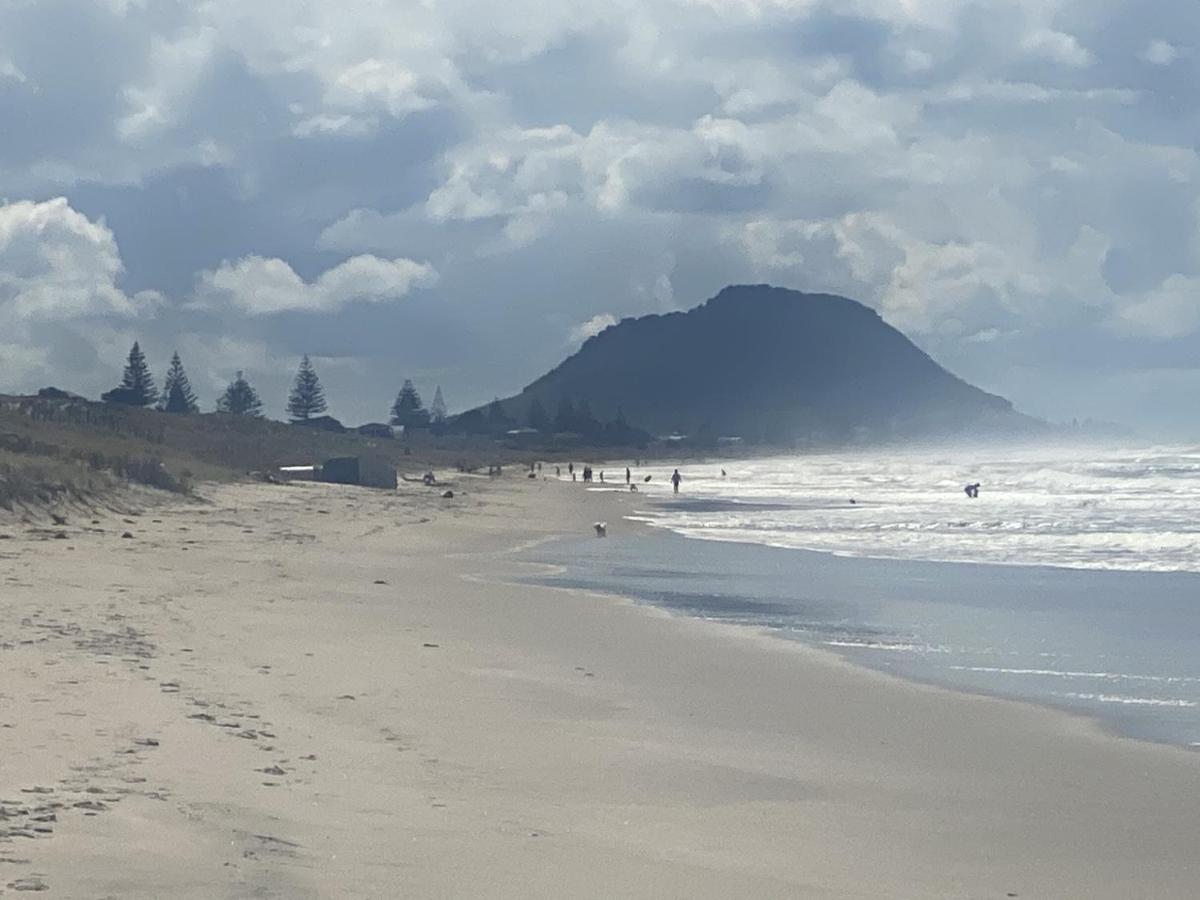 Appartement Superb beachside location, private&tranquil à Mount Maunganui Extérieur photo
